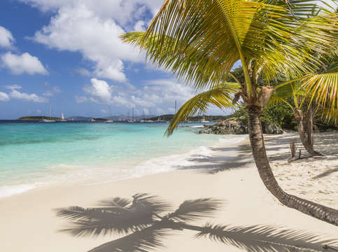 Idyllic salomon beach