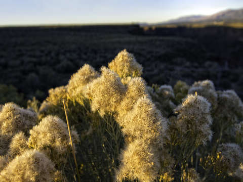 Fading light
