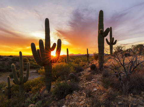 Fiery desert