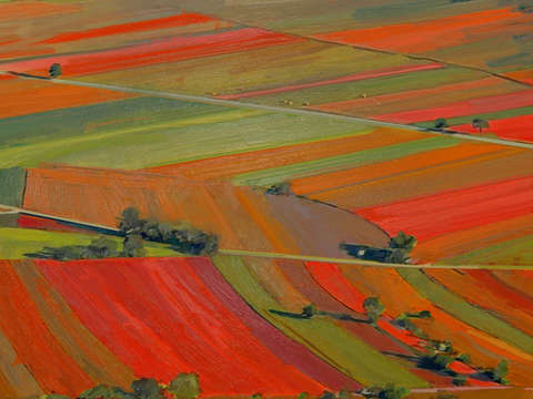Farm stripes