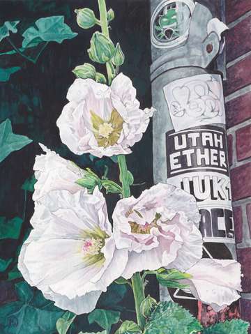 Amsterdam hollyhocks 2