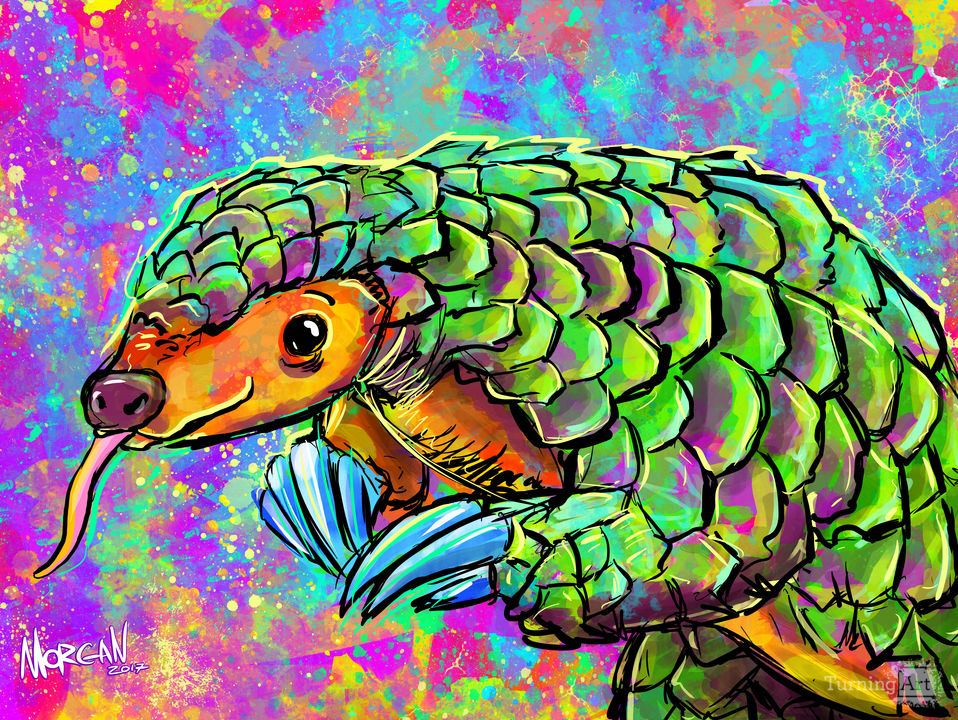 Pangolin