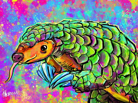 Pangolin