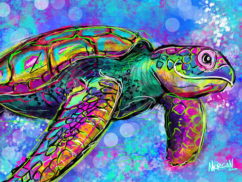 Sea turtle 2