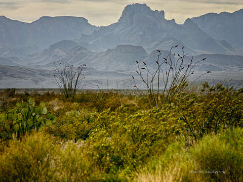 The ghost mountains of big bend 3