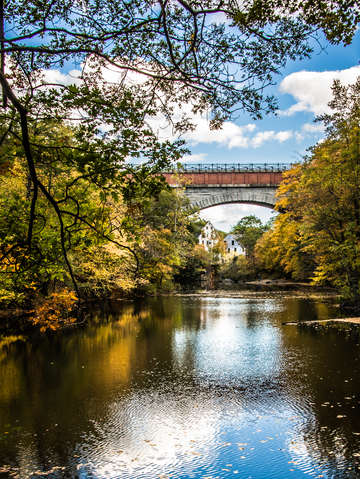 Echo bridge reflection