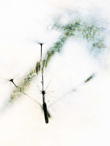 Sojourn i