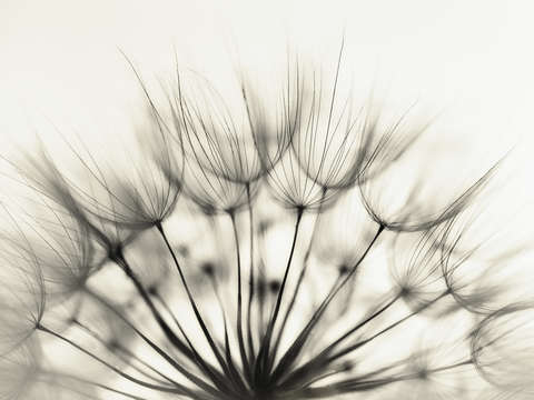 Waiting for wind