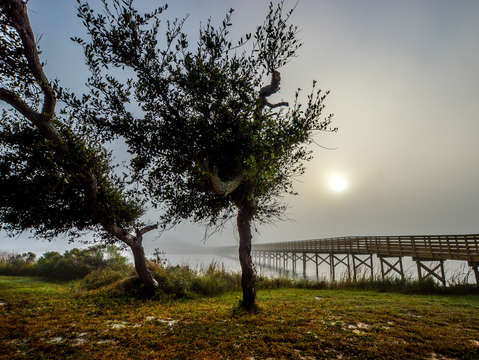 Fog on lake shelby dsc 0946