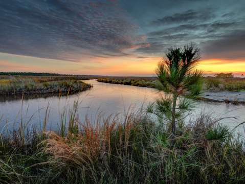 Lake shelby sunrise dsc 0569