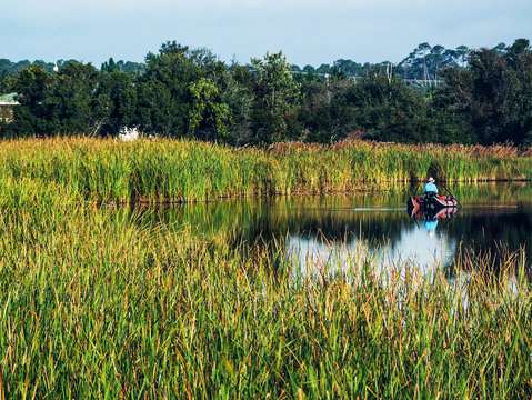 Fishing in the grasses dsc 2112
