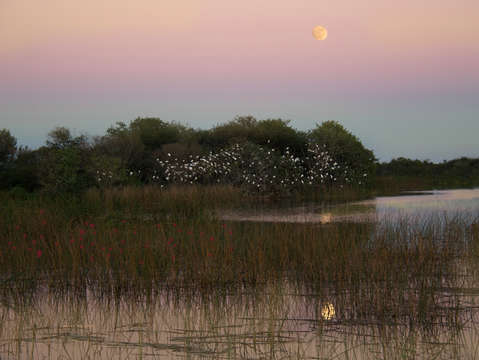 Full moonrise