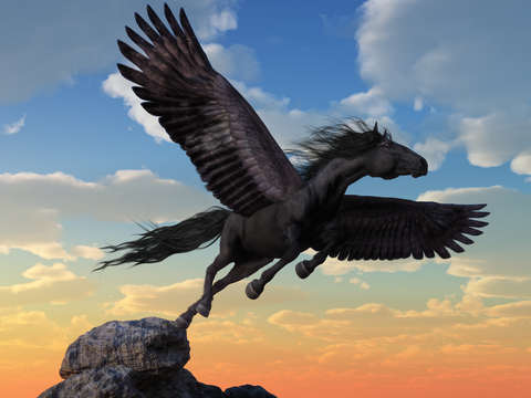 Friesian pegasus