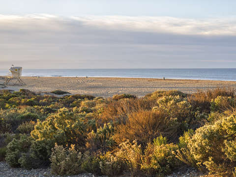 Trestles