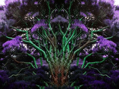 Tree of life 8