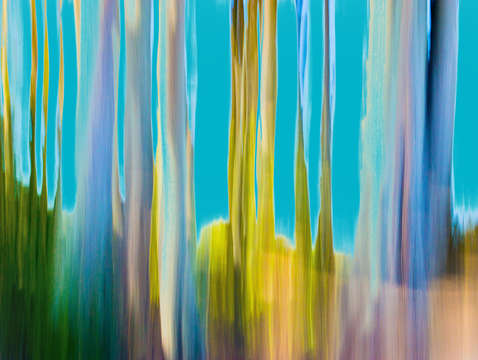 Moving trees 20 landscape format