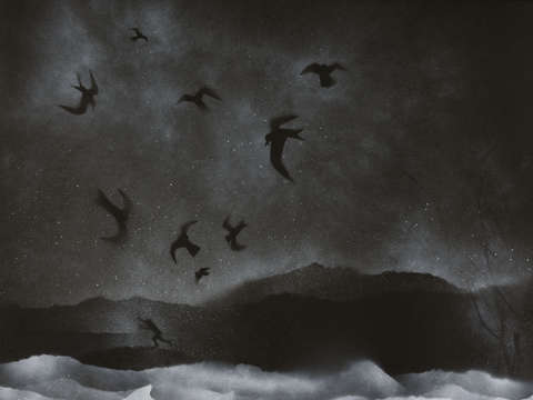 The terns and the guilty wanderer