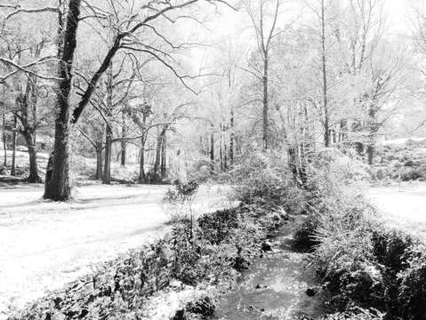 Perkerson park a wonder in the middle of the city