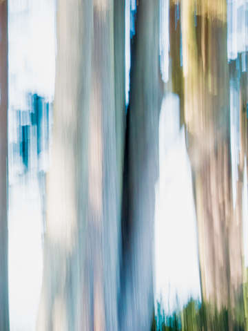Moving trees 21