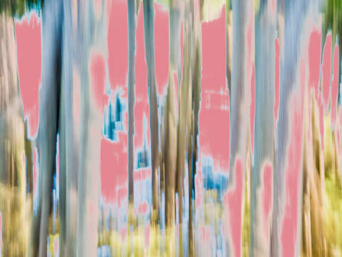 Moving trees 23