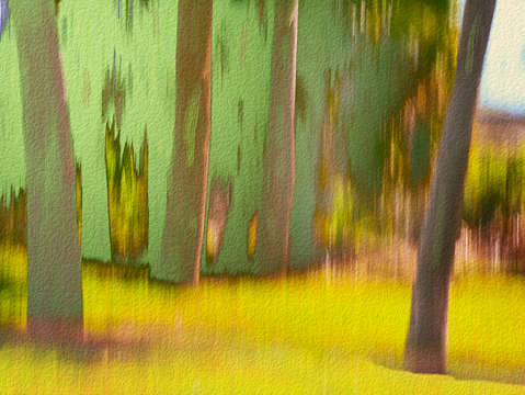 Moving trees 29