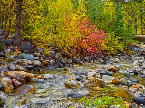 War creek