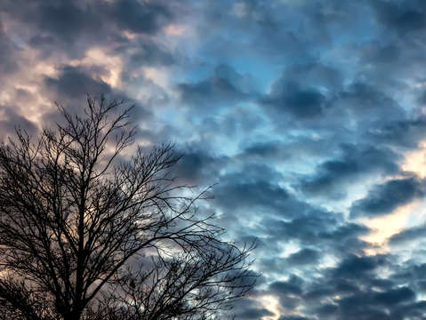 Sunset trees and clouds 2