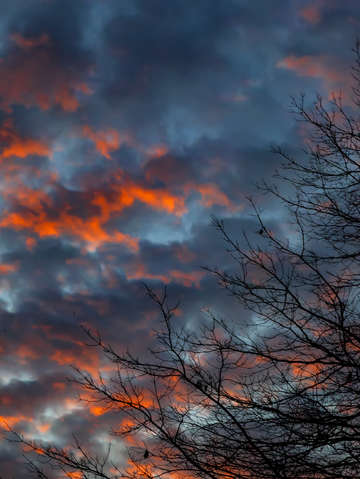Sunset trees and clouds 3