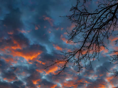 Sunset trees and clouds 4