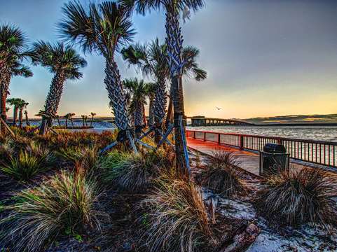 Alabama point palms v2 dsc 1967