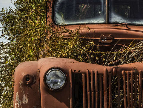 Cotton truck headon