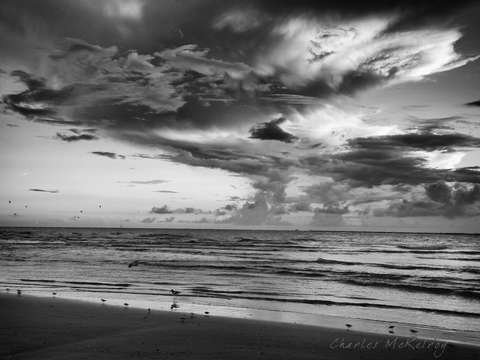 Along the shore 2