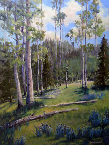 Forest walk