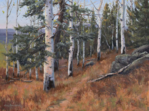 Kachina peaks wilderness