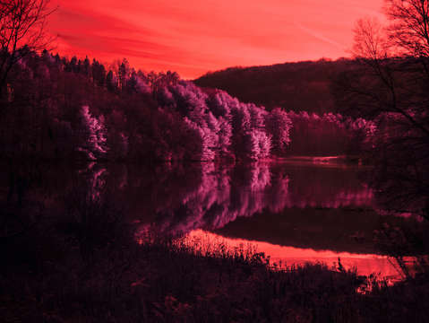Pink reflections