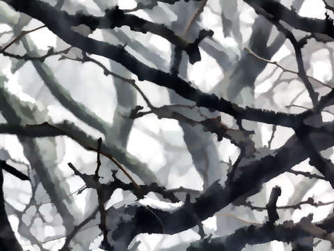 Snow storm