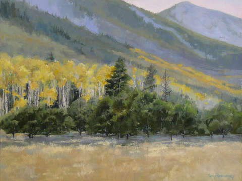 Lockett meadow