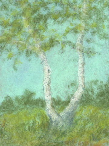 Terra temporalis redux xxiv