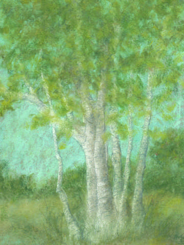 Terra temporalis redux xxvi