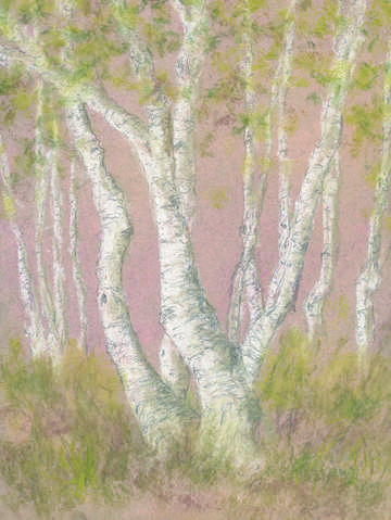 Terra temporalis redux xxvii