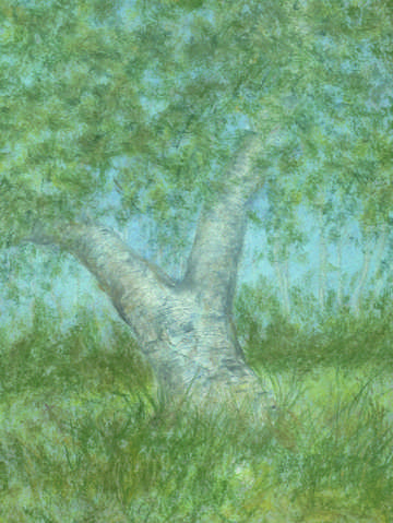 Terra temporalis redux xxx