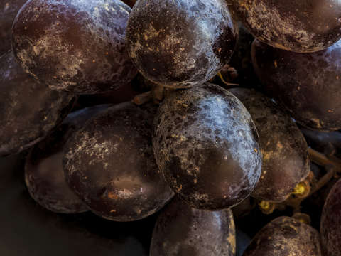 Grapes 2