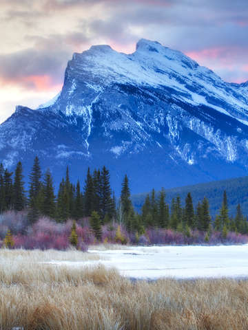 Rundle's Rise