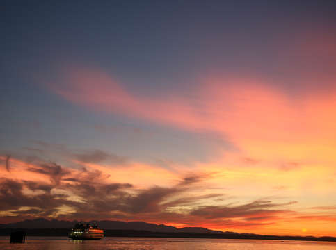 Painted skies