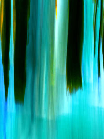 Moving trees 40