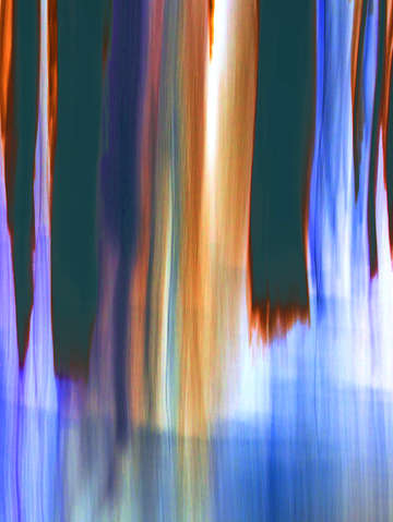 Moving trees 44