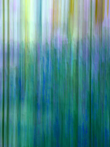 Moving trees 45