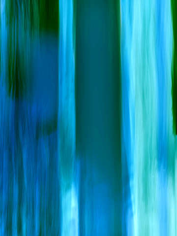 Moving trees 48