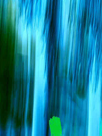 Moving trees 49
