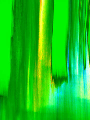 Moving trees 55